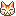 cat cat